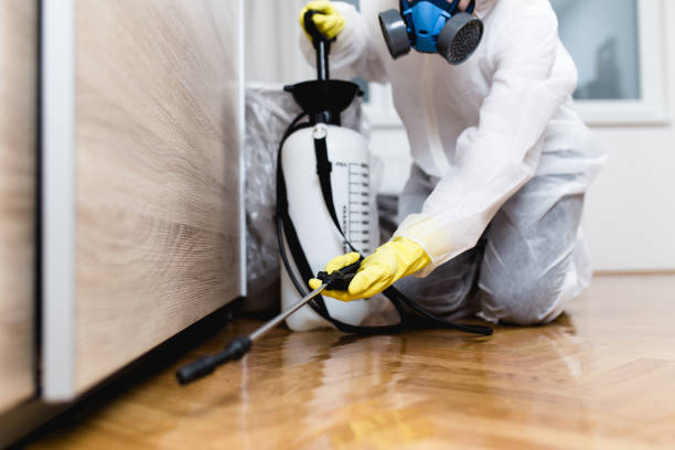 Best Flea Control Services  in Perry, OH