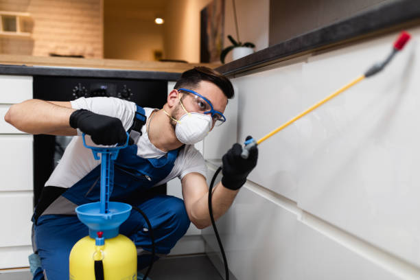 Best Pest Control Near Me  in Perry, OH