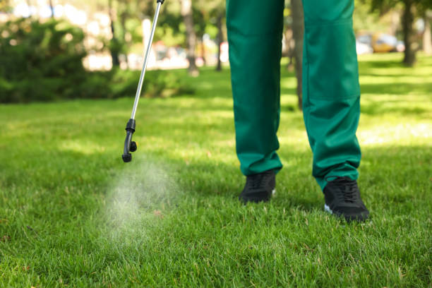 Best Affordable Pest Control Services  in Perry, OH