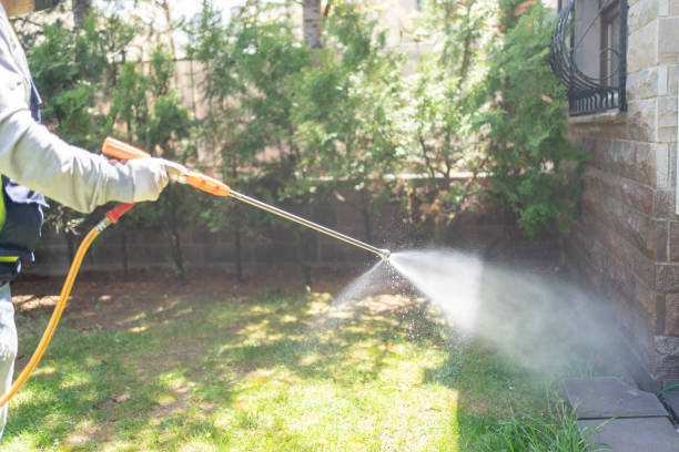 Best Cockroach Control Services  in Perry, OH