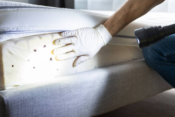 Pest Control Cost in Perry, OH