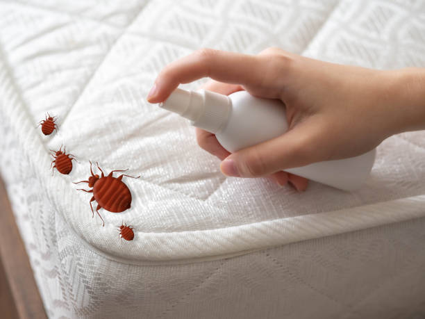 Best Pest Prevention Services  in Perry, OH