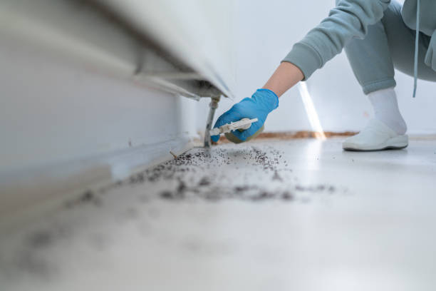 Best Emergency Pest Control  in Perry, OH