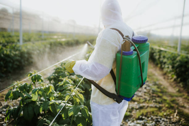Best Affordable Pest Control Services  in Perry, OH